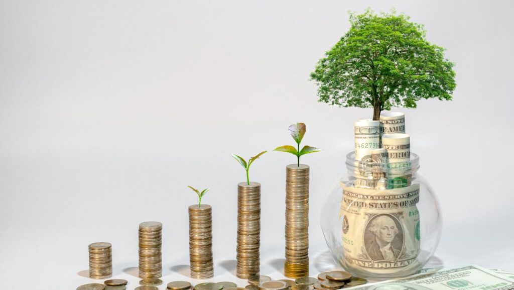 الوفرة المالية